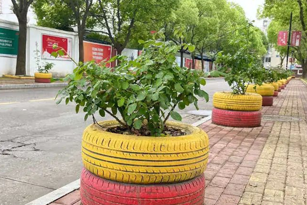Discarded tires turn into distinctive flower boxes in Chongchuan