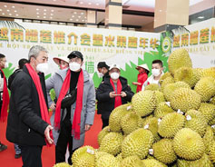 Vietnamese imports taking a bite of China's durian fervor