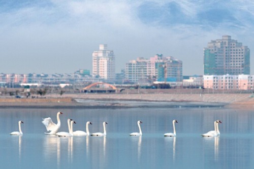 Xinjiang sees better water quality
