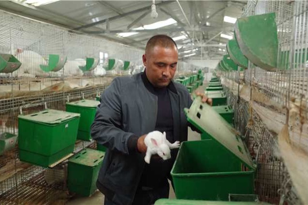 Industries creating work in southern Xinjiang