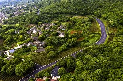 Putuo earns provincial recognition for rural vitalization efforts