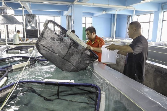 Hainan explores sustainable fishery