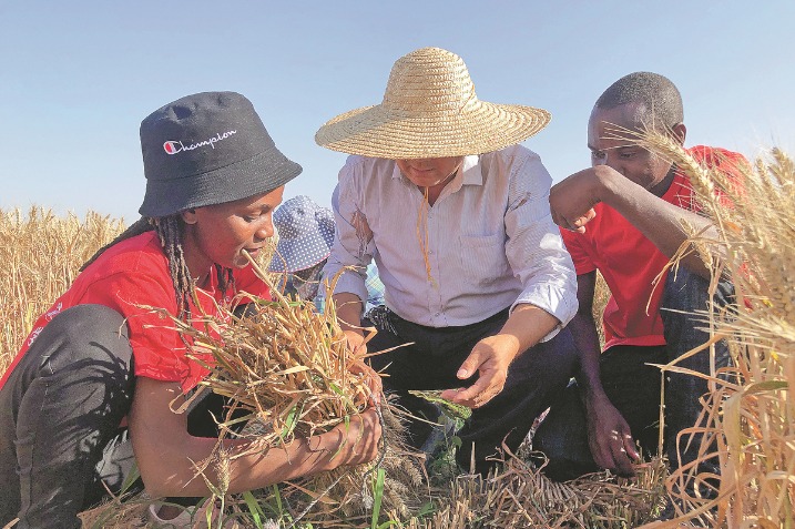 African students lend harvesters a hand in Hebei