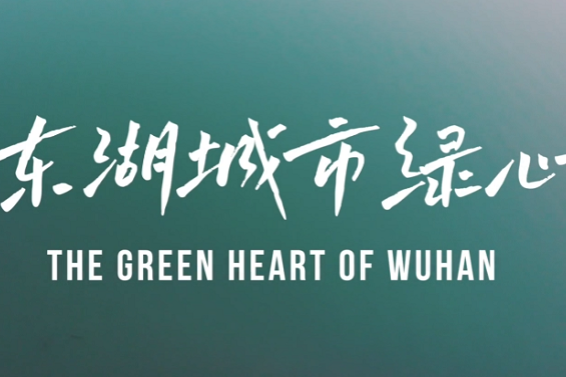 East Lake: The Green Heart of Wuhan
