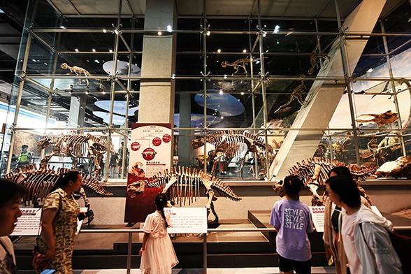 Shanxi Museum of Geology reopens after upgrades