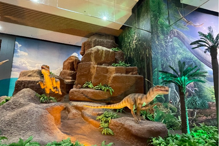 Expats’ Gansu journey begins with dinosaur fossil encounter