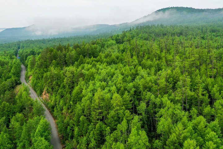 China's Inner Mongolia reports progress in sand control