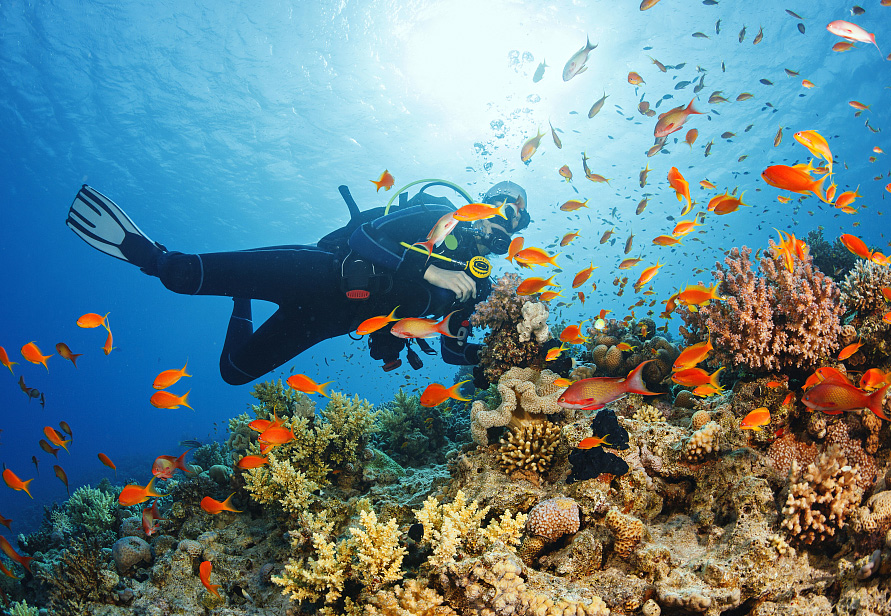 Top 5 diving spots in Sanya