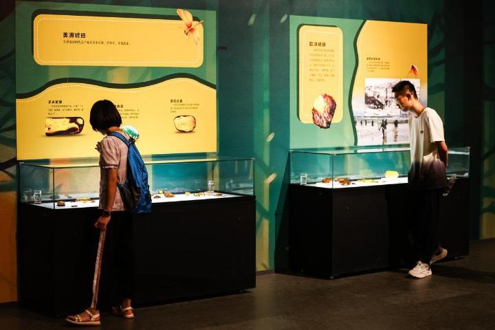 Hebei Museum showcases unique amber exhibit