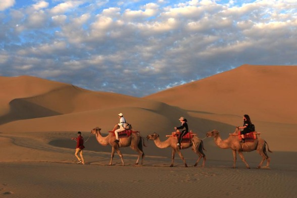 Gansu scenic area suspends camel-riding services