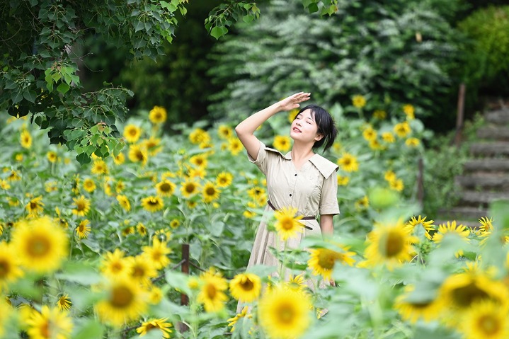 Embrace the splendor of summer in Chongqing park