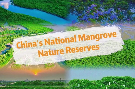 China's National Mangrove Nature Reserves
