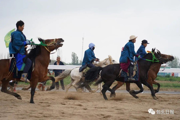 Horse Walking Race placed in Baotou