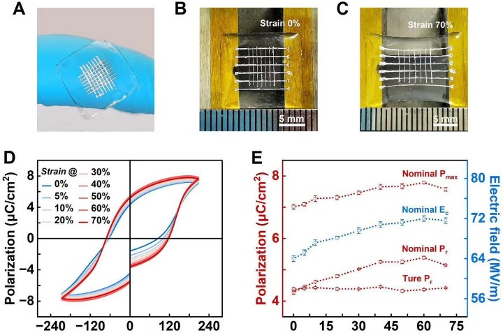 Chinese scientists develop highly-flexible ferroelectric material for smart wearables