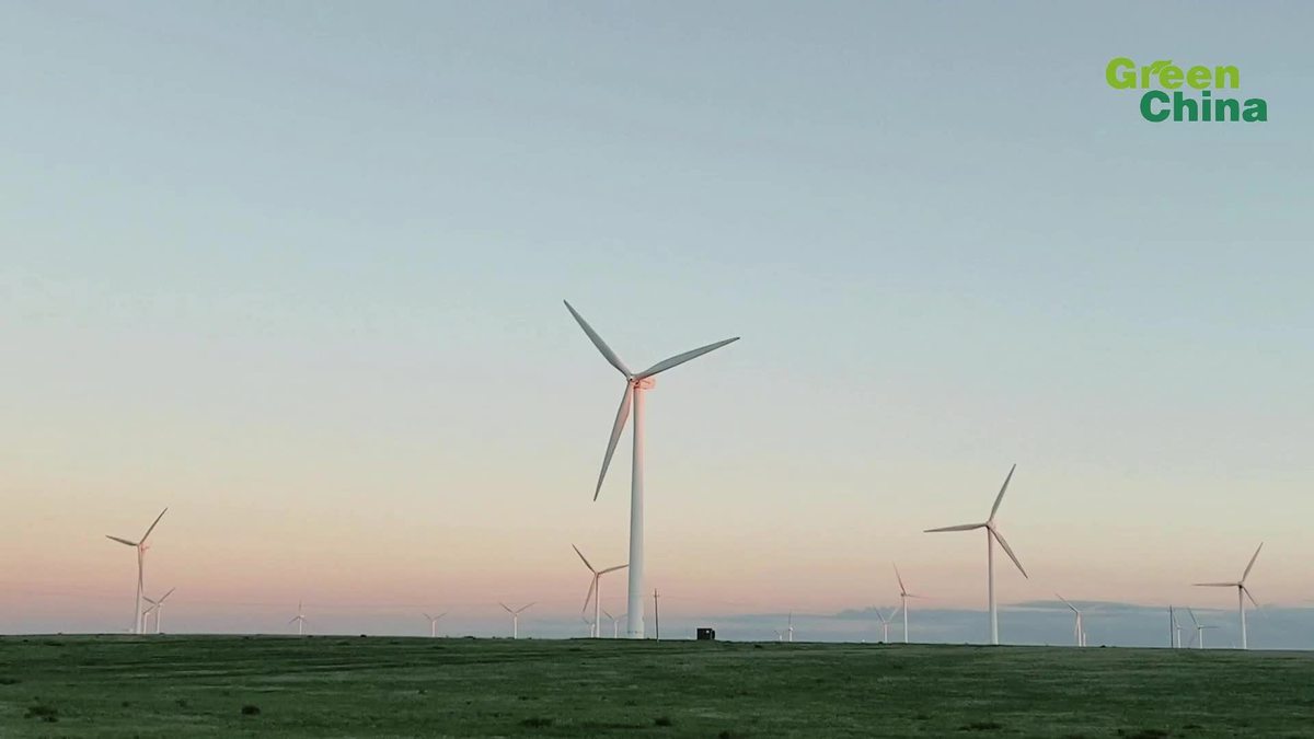 Towering wind turbines on Inner Mongolia's Huitengxile Grassland
