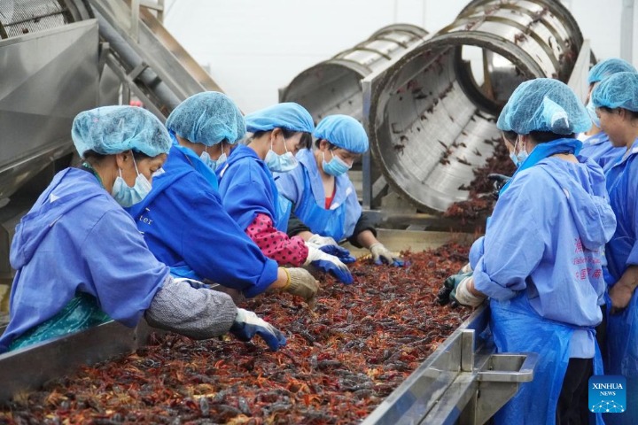 Across China: From field to fork, Hunan's crawfish farmers reap success