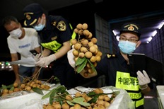 First fruit shipment sent to HK under new export program