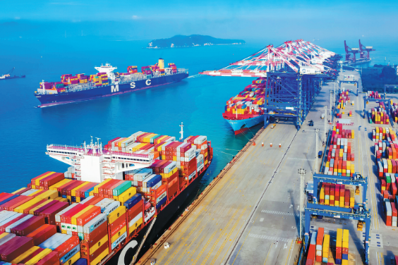 Trade between China's Xiamen, BRICS soars 46.9% in H1