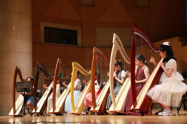 Plucky summer students make harps sing