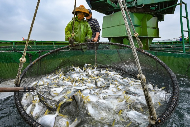 Domestic seafood sales surge amid safety concerns