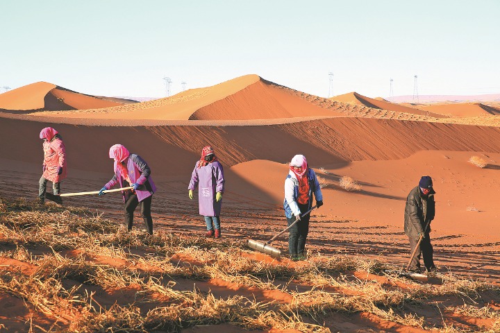 China, Arab nations join to combat desertification