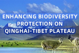 Enhancing biodiversity protection on Qinghai-Tibet Plateau