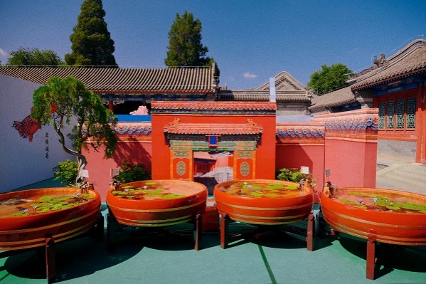 Ornamental goldfish exhibition in Beijing represents elegant lifestyles