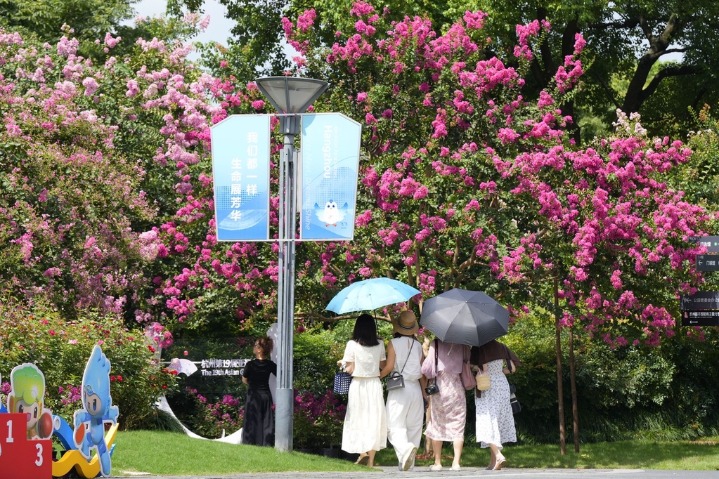 Crapemyrtle flowers usher in the 19th Asian Games in Hangzhou’s sports park