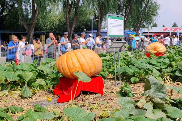 Intl agriculture, food expo opens in Jilin