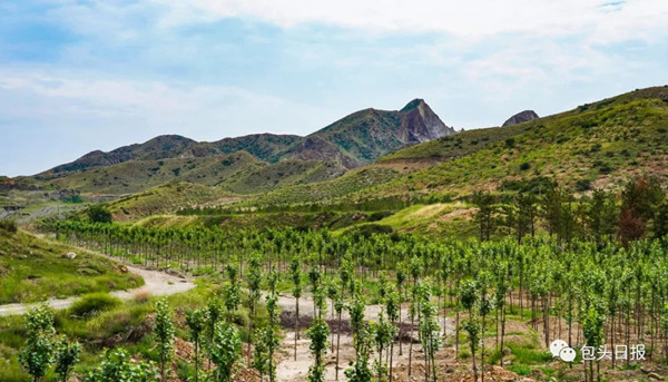 Baotou promotes desertification prevention, control