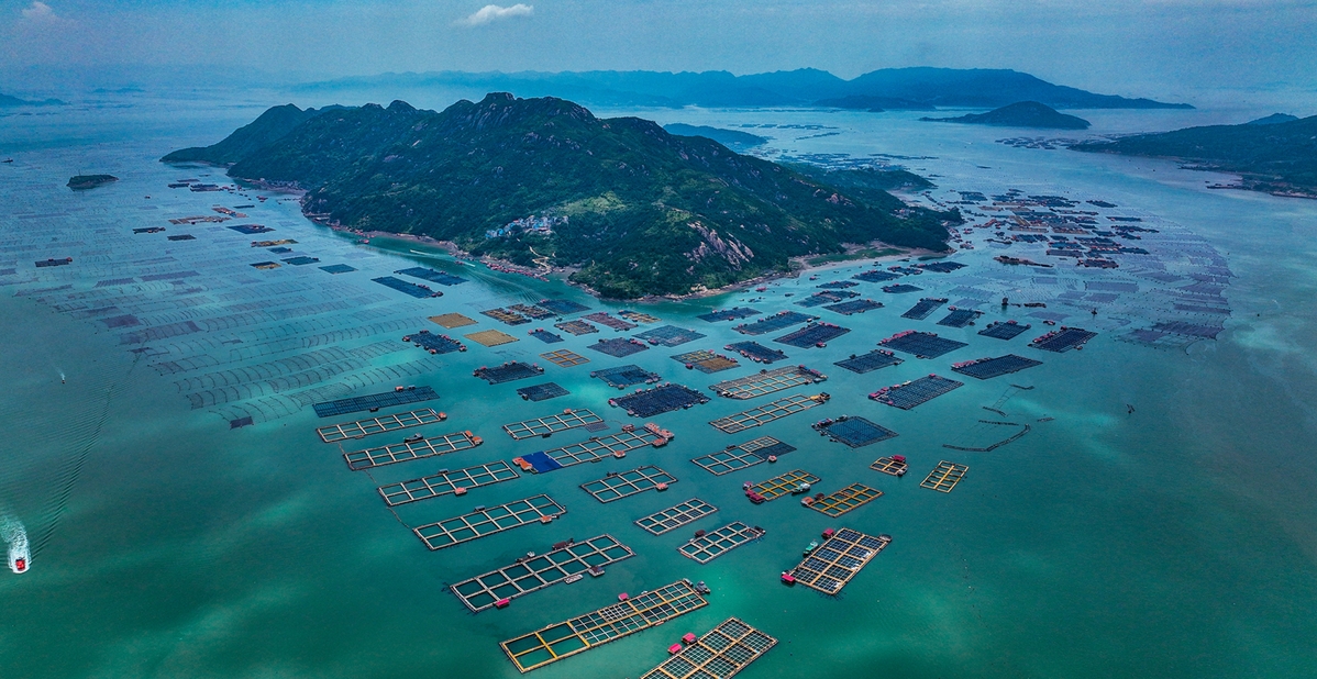 Fujian coast awash in aquaculture