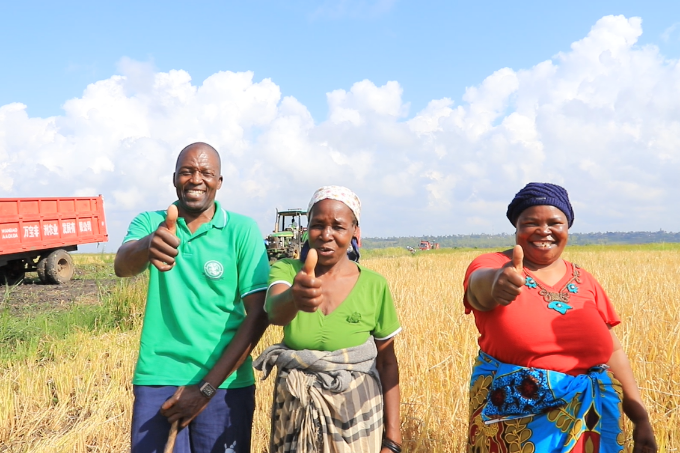 Chinese technology transfer boosts grain yield in Mozambique