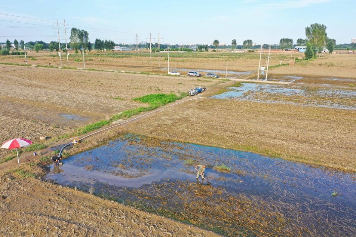 In Hebei, mud removal clears way for planting