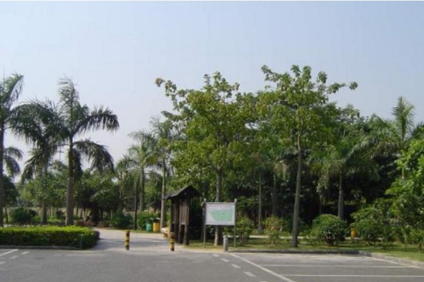 International mangrove center to be set up in Shenzhen