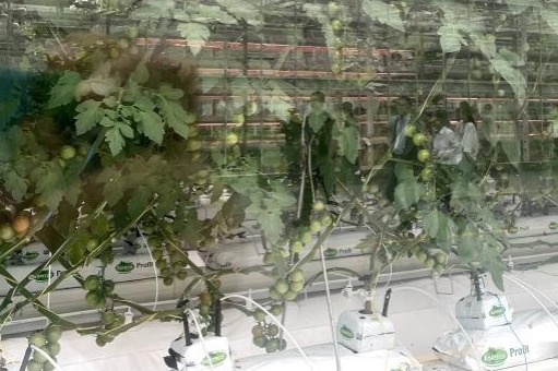 Agri-science-city Yangling inspires with technological greenhouses of the future