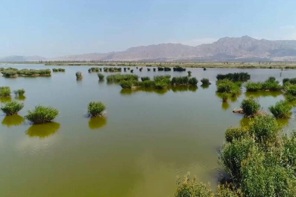 China protects Yellow River through ecological restoration