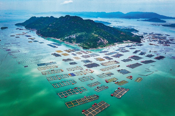 Fujian coast awash in aquaculture
