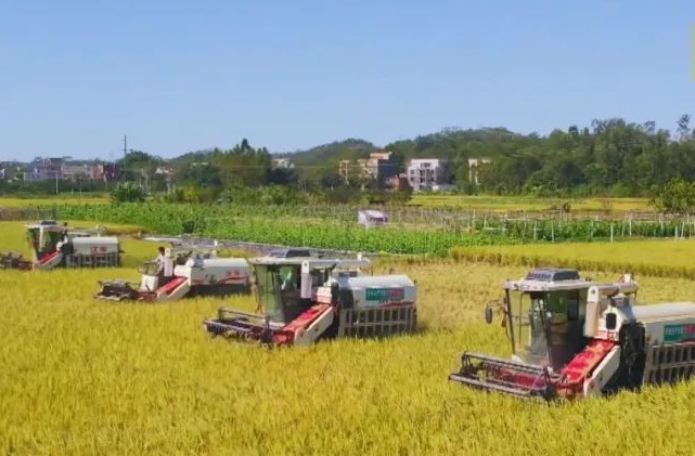 Maoming reclaims land for agri benefits