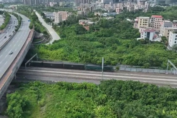 Maoming makes progress in transportation greening efforts