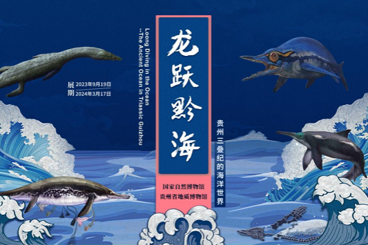 Beijing exhibition explores the ancient ocean of Triassic Guizhou