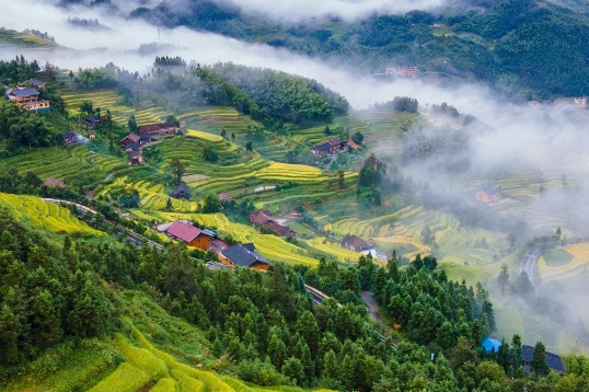 Terrace preservation urged at farming conference in Hunan