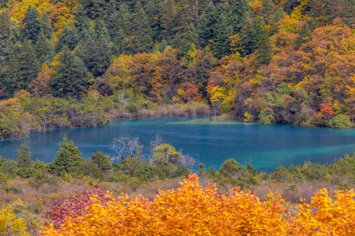 Autumn's charm in Jiuzhaigou scenic area in Sichuan province