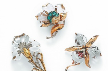Exhibition brooches the subject of historic jewelry