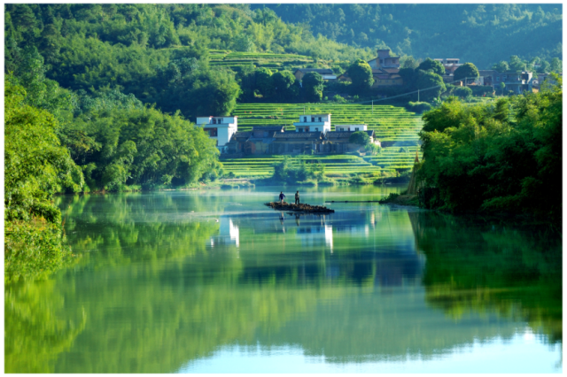 Guangning county is known as the ‘hometown of Chinese bamboo’