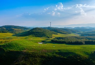 From barren to beautiful: Guizhou grassland restored