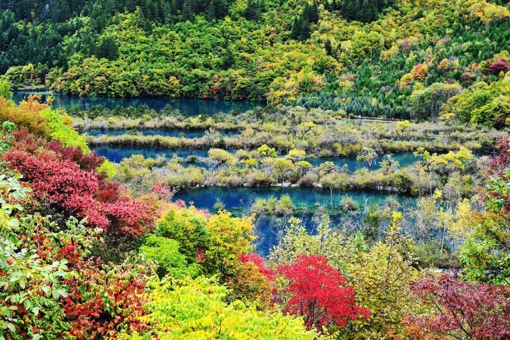 Picturesque autumn scenery of Jiuzhaigou delights tourists