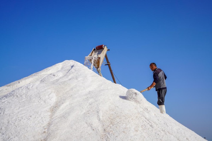 See stunning images of salt harvesting in Hebei