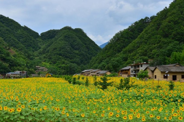 Zhujiawan village named Best Tourism Village 2023 by UNWTO