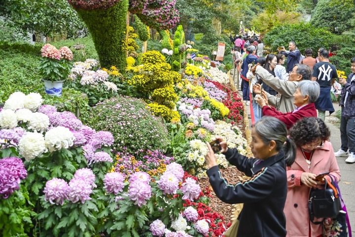 The 9th Hangzhou chrysanthemum art exhibition kicks off