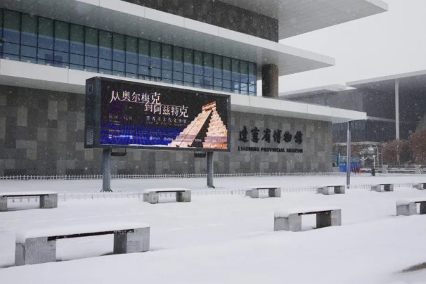 Maiden snowfall blankets Liaoning Provincial Museum in white